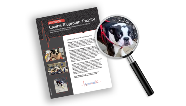 AimaLojic Blog Images_Case Report_Boston Terrier Ibuprofen Toxicity